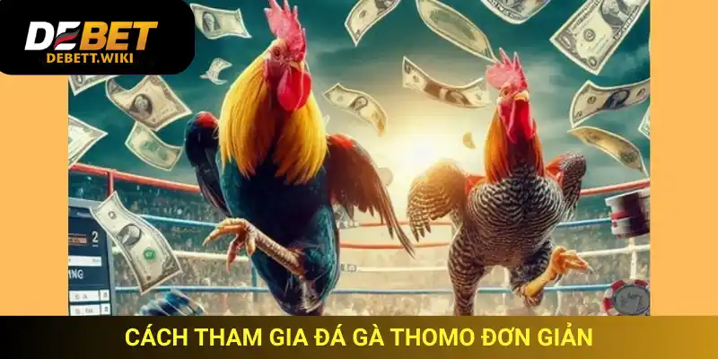 Debet hỗ trợ cược đá gà trực tiếp Thomo dễ dàng với giao diện rõ ràng và nhanh chóng.