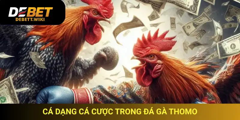 Debet hỗ trợ người chơi phân tích phong độ gà để đặt cược hiệu quả khi xem đá gà trực tiếp Thomo.